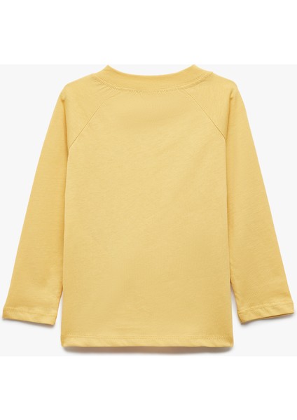 Pamuklu Oversize Uzun Reglan Kol Baskılı Düğmeli Bisiklet Yaka Tişört fiyatları