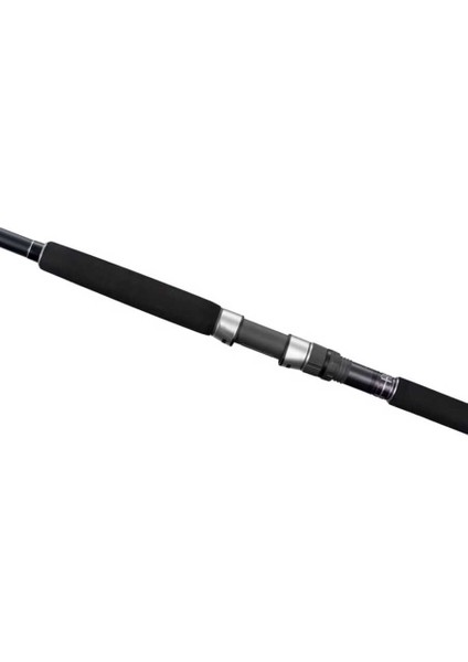 Currentsniper Xr 290 cm Max 100 gr Shore Jig Kamış fiyatları