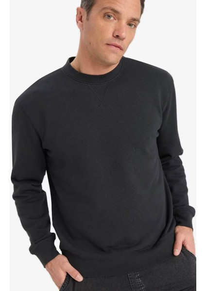 %100 Pamuk Regular Fit Bisiklet Yaka Antrasit Erkek Sweatshirt E8339AX/AR235