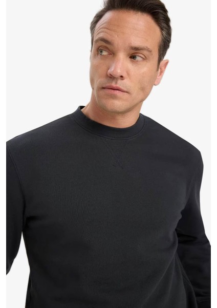 %100 Pamuk Regular Fit Bisiklet Yaka Antrasit Erkek Sweatshirt E8339AX/AR235 fırsatları