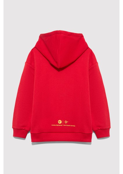 Baskılı Pamuklu Oversize Fit Kapüşonlu Sweat Erkek Çocuk Sweat 6S10133 fiyatları