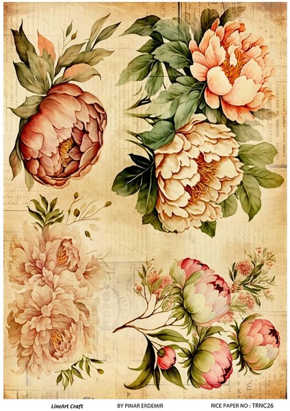 Turuncu Serisi TRNC26 Pirinç Dekopaj 30*42 cm