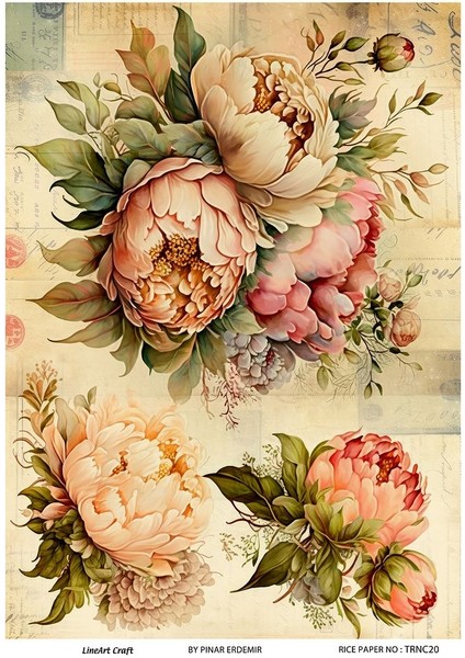 Turuncu Serisi TRNC20 Pirinç Dekopaj 30*42 cm