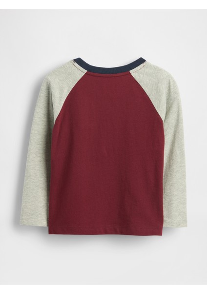 Erkek Bebek Kırmızı Babygap Logo Grafik T-Shirt fiyatları