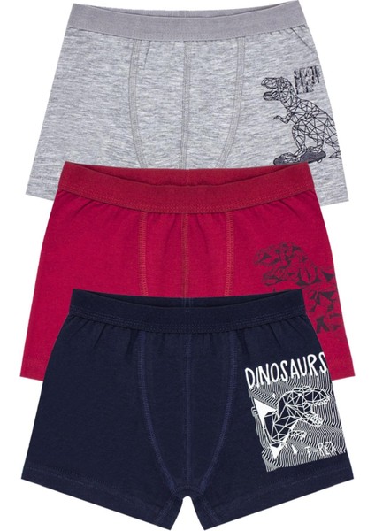 Erkek Çocuk Boxer 3'lü Baskılı (%96 Pamuk - %4 Elastan)