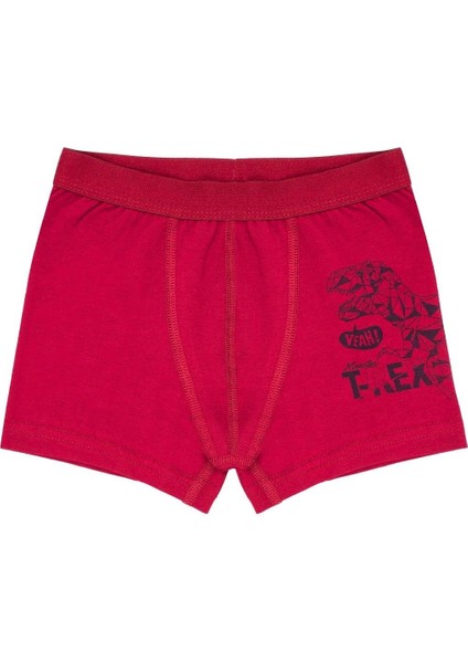 Erkek Çocuk Boxer 3'lü Baskılı (%96 Pamuk - %4 Elastan) fiyatları