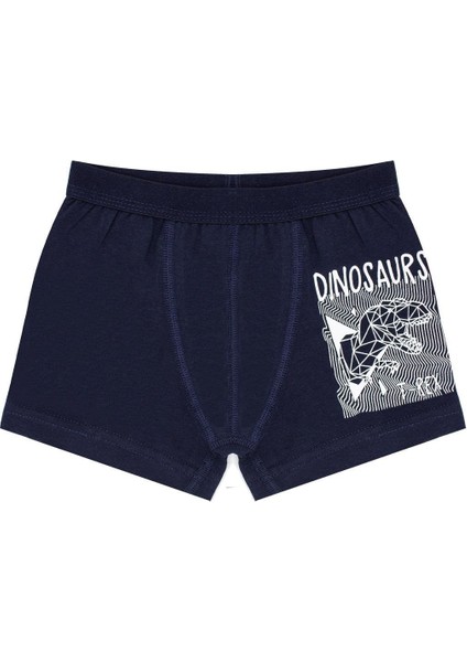 Erkek Çocuk Boxer 3'lü Baskılı (%96 Pamuk - %4 Elastan) modelleri