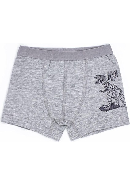 Erkek Çocuk Boxer 3'lü Baskılı (%96 Pamuk - %4 Elastan) fırsatları