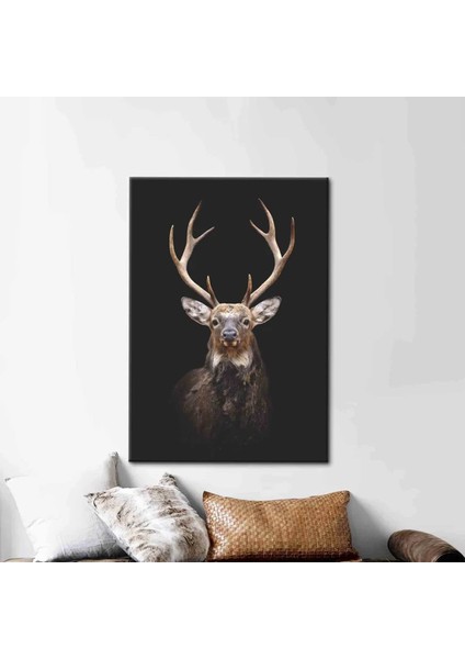 Geyik Fotoğrafçılığı, Trend Kanvas Tablo, Hayvan Duvar Dekoru, Çiftlik Evi Posteri indirimleri
