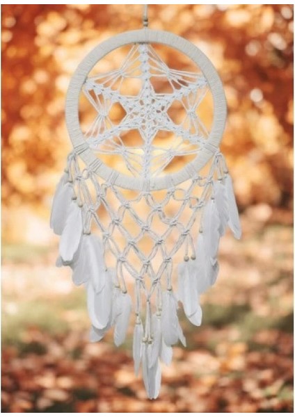 Yıldız Motifli Ekru Renk Büyük Boy Düş Kapanı Duvar Dekoru modelleri