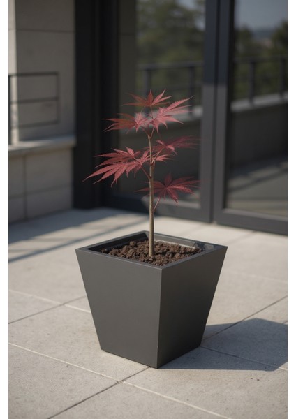 Zenith 30 cm Modern Kare Konik Saksı - İç ve Dış Mekan Dekoratif Metal Saksılık (30x35/30 cm)