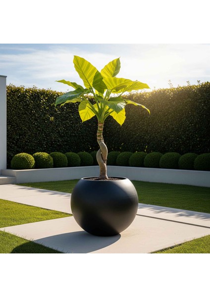 Aura Sphere Fiber Küre Saksı - Mat - 60CM x Yükseklik 50CM Büyük Boy