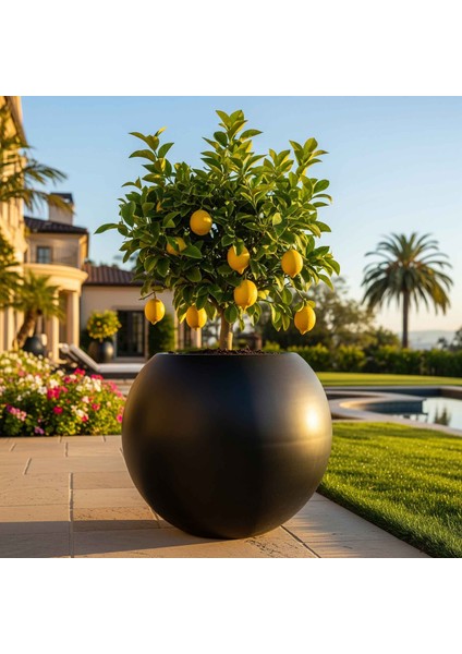 Aura Sphere Fiber Küre Saksı - Mat - 60CM x Yükseklik 50CM Büyük Boy fiyatları