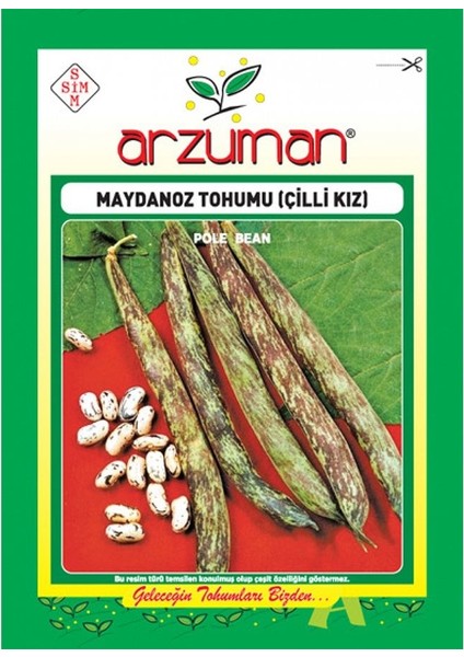 Bol Dökümlü Çilli (Kız) Ayşe Fasulye Tohumu-50 Gram