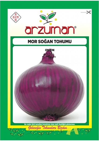 Uzun Gün Mor Soğan Tohumu-5 Gram