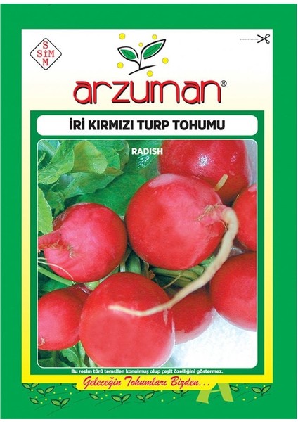 Iri Kırmızı Antep Turp Tohumu-25 Gram