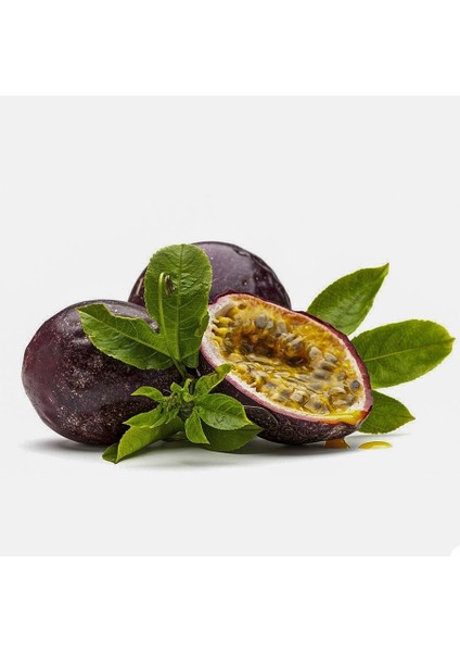 Mor Meyveli Passiflora Edulis Maruçya Çarkıfelek Tohumu-7 Adet