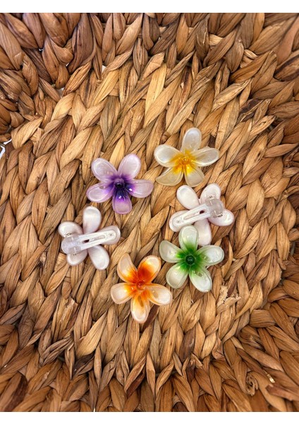 2li Renkli Plastik Timsah Lotus Mini Saç Tokası fiyatları