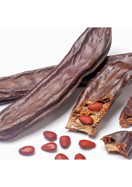 Keçi Boynuzu Harnup Ağacı Tohumu-(25 Adet)