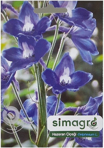 Karışık Renkli Hazeran Çiçeği Tohumu-30 Adet