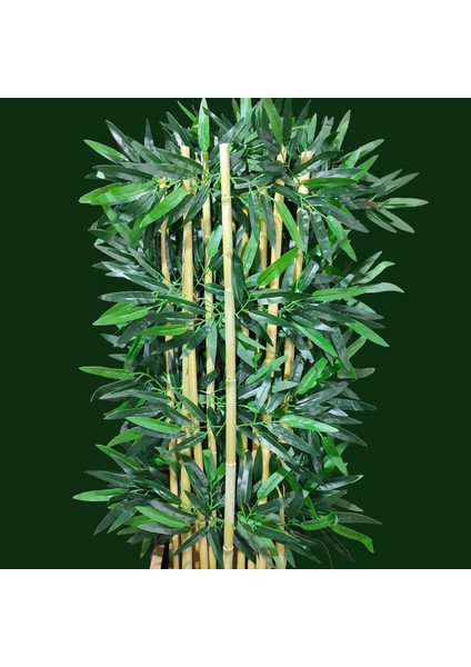 Yapay Çiçek Antrasit Saksıda 180 cm Bambu 15 Adet (Tüm Set Dahil) Seperatör fırsatları