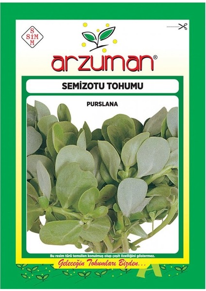 Geniş Yapraklı Semizotu Tohumu-10 Gram