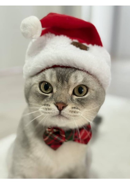 Yeni Yıl Kedi Şapkası Lastikli Yılbaşı Şapkası Yetişkin Kedi Noel Baba Şapkası fiyatları