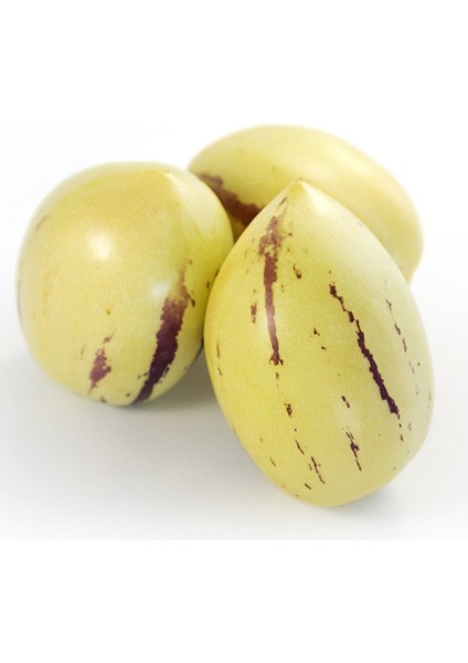 Kampanyalı Pepino Fidanı 5 Al+4 Öde fiyatları