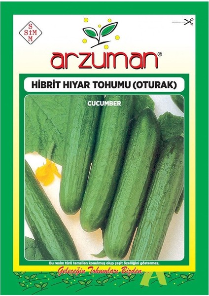 Hibrit F1 Oturak (Hıyar) Salatalık TOHUMU-100 Adet