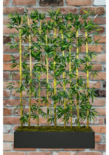 Yapay Çiçek Antrasit Saksıda 160 cm Bambu 15 Adet (Tüm Set Dahil) Seperatör