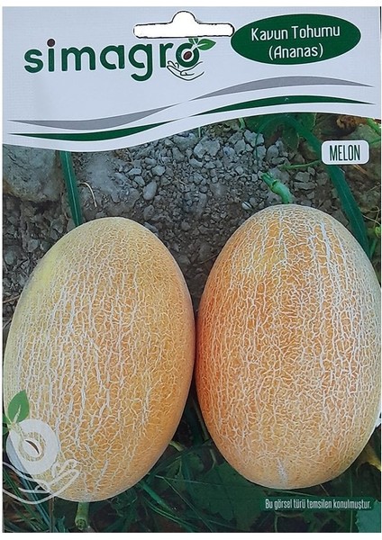 Aroması Yüksek Ananas Kavun Tohumu-10 Gram