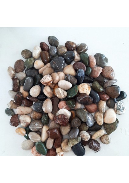 Doğal Deniz Taşları Mini Boy- 5 kg