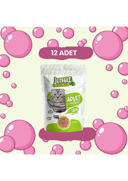 Pouch Yetişkin Kedi Tavuk Parçalı 100 G * 12'li Avantaj