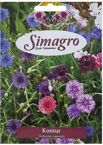 Karışık Renklerde Kontur Çiçeği Tohumu-50 Adet