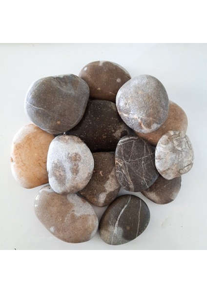 Doğal Deniz Taşları Yassı Büyük Boy- 1 kg
