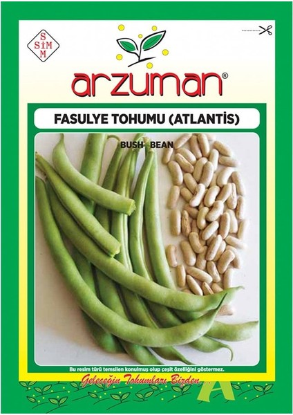Kılçıksız Atlantis (Kırk Günlük) Fasulye Tohumu-50 Gram