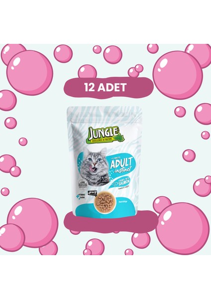 Pouch Yetişkin Kedi Somon Parçalı 100 G * 12'li Avantaj