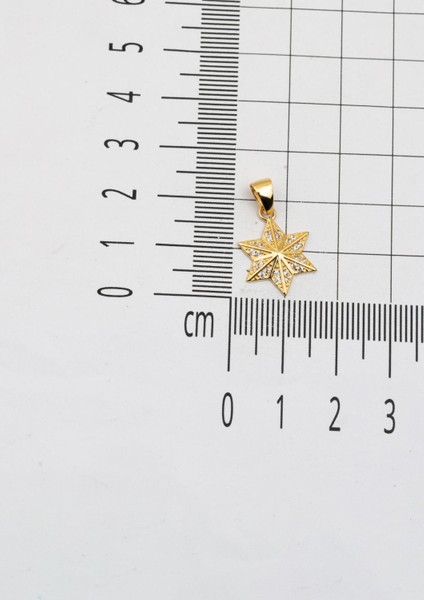 Selçuklu Yıldızı Kolye 14 Ayar Altın fırsatları