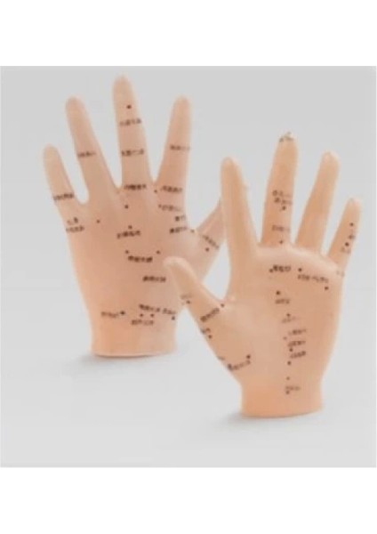 Enerji Akışı El Maketi