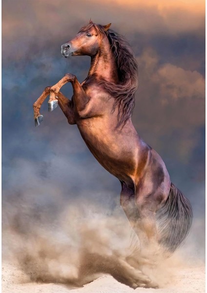 35521 Wild Red Stallion 500 Parça Puzzle fiyatları