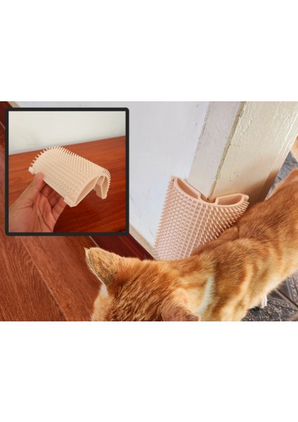 Kedi Kaşıma Aparatı