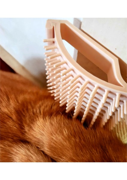 Kedi Kaşıma Aparatı modelleri