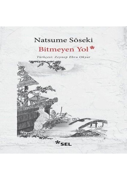 Bitmeyen Yol
