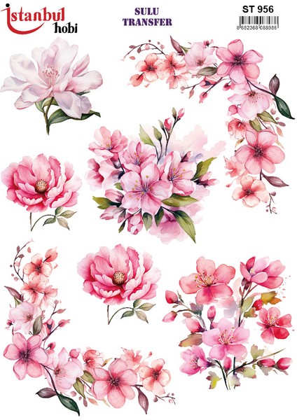 Istanbul Hobi Sulu Transfer ST956 (25X35)