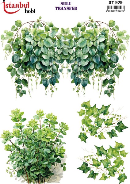 Istanbul Hobi Sulu Transfer ST929 (25X35)