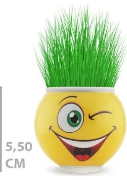 Çim Adam Saksı Emoji Figürlü 1 Adet modelleri