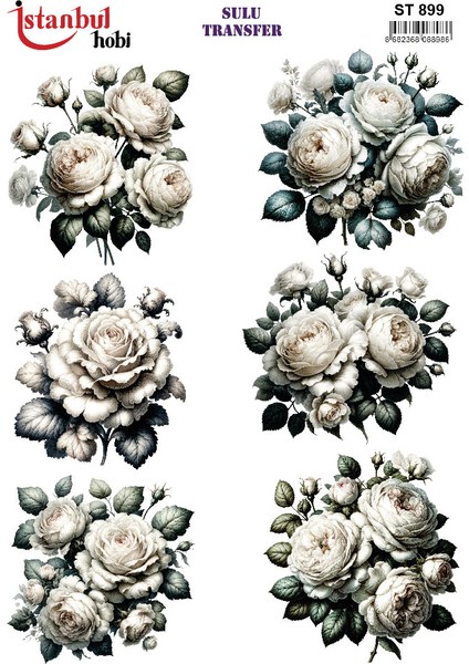 Istanbul Hobi Sulu Transfer ST899 (25X35)