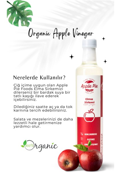 Elma Sirkesi 500 ml, Ananas Sirkesi 500 ml fiyatları