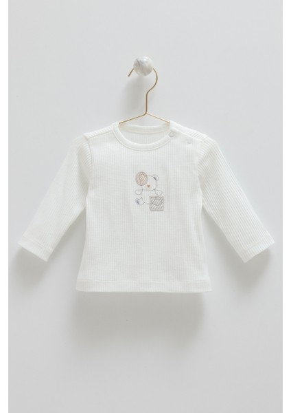 Bear Üçlü Takım - Gri fiyatları