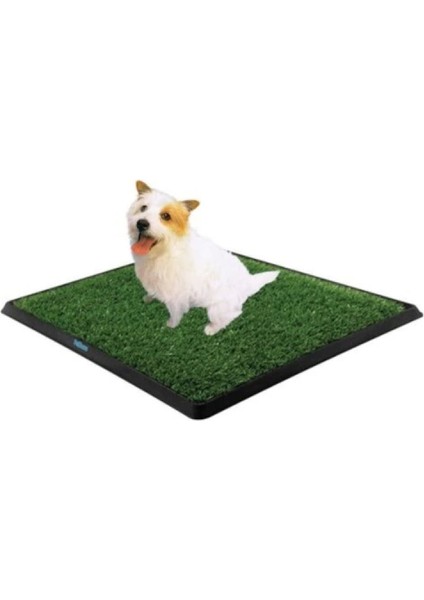 Köpek Tuvalet Eğitim Seti